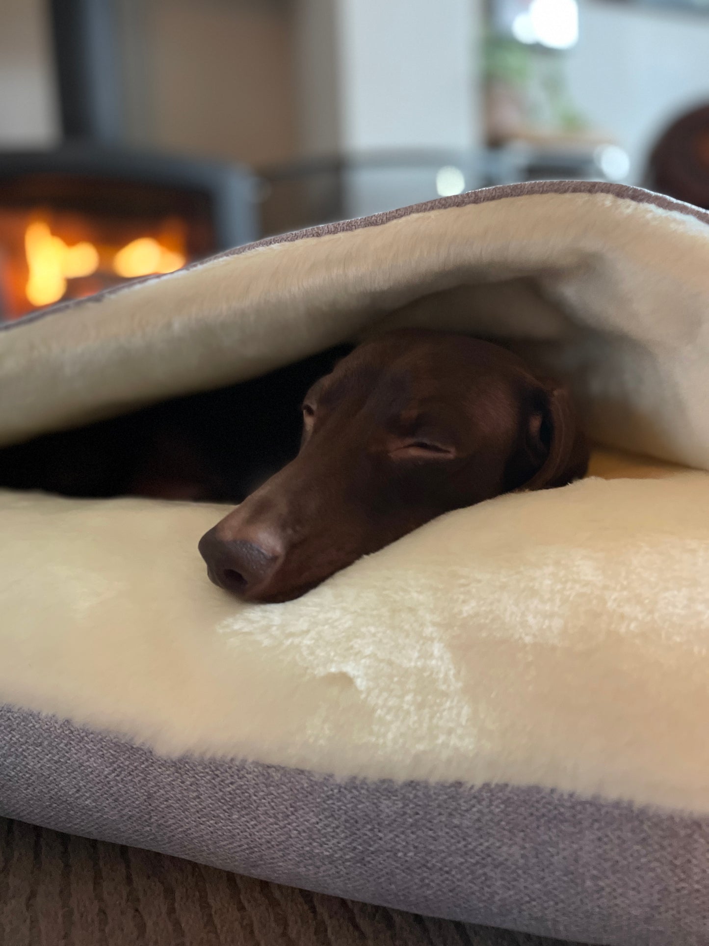Light Grey Snuggle Cave Dog Bed Dash Of Hounds