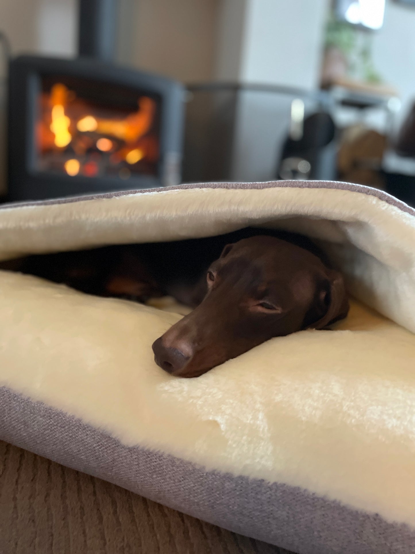 Light Grey Snuggle Cave Dog Bed Dash Of Hounds