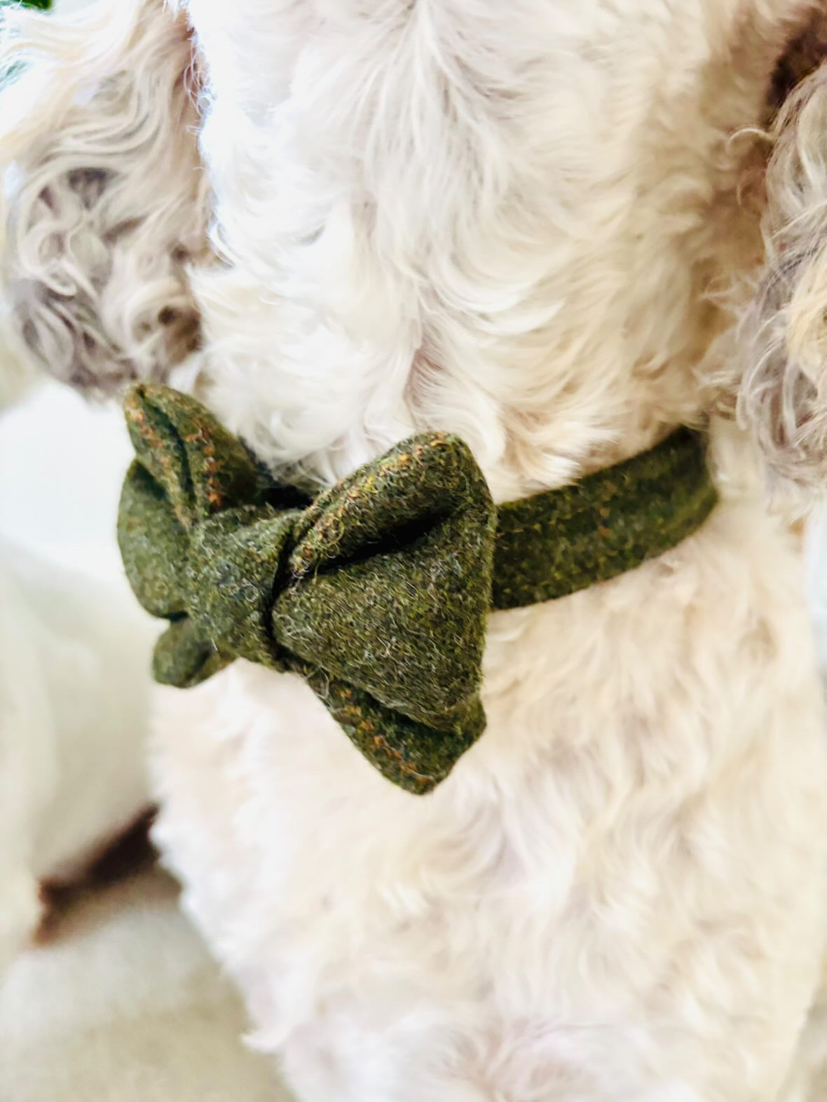 Green Tweed Dog Collar Bow & Lead Set Dash Of Hounds