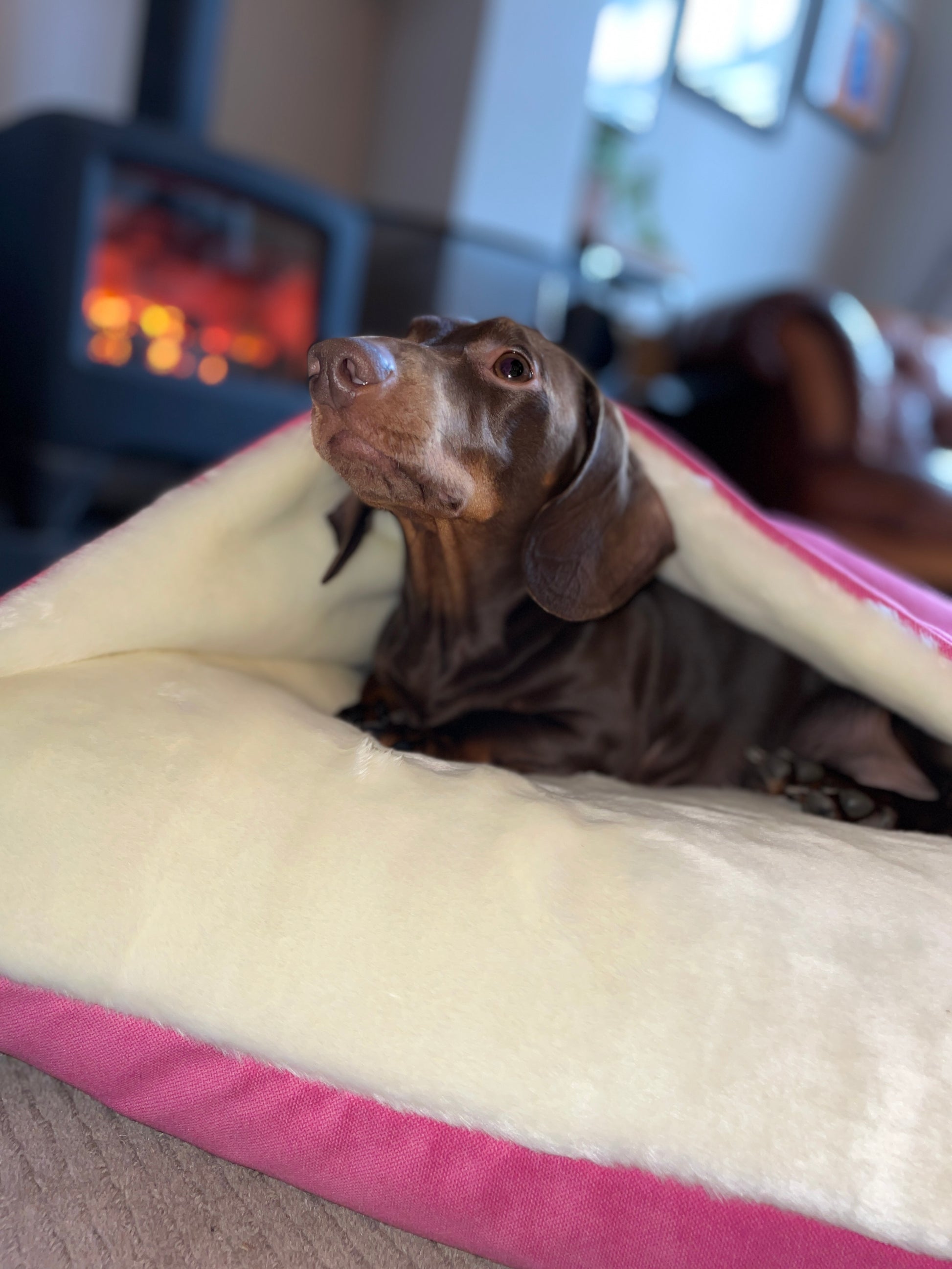 Pink Velvet Snuggle Cave Dog Bed Hunter & Co.