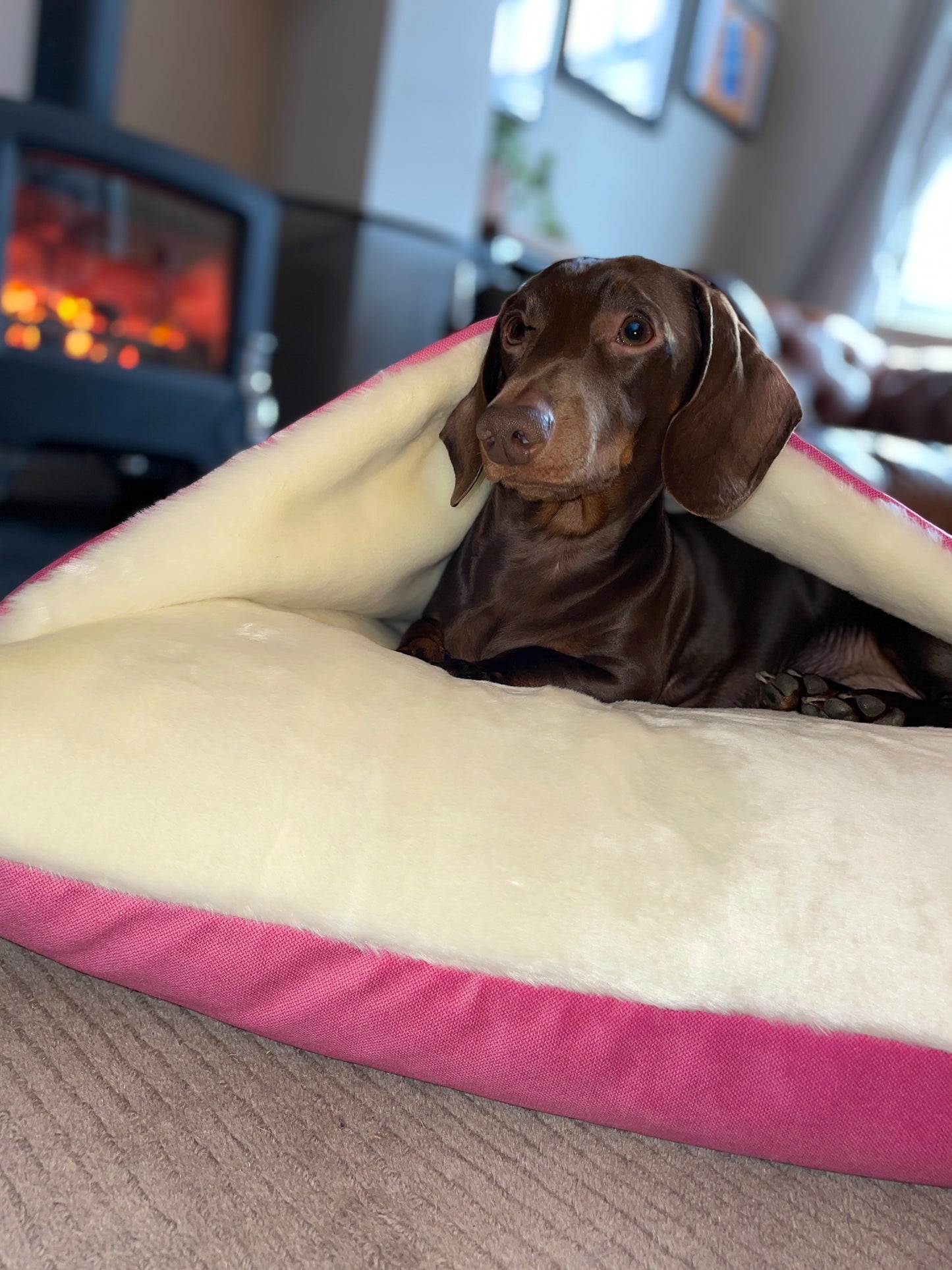 Pink Velvet Snuggle Cave Dog Bed Hunter & Co.
