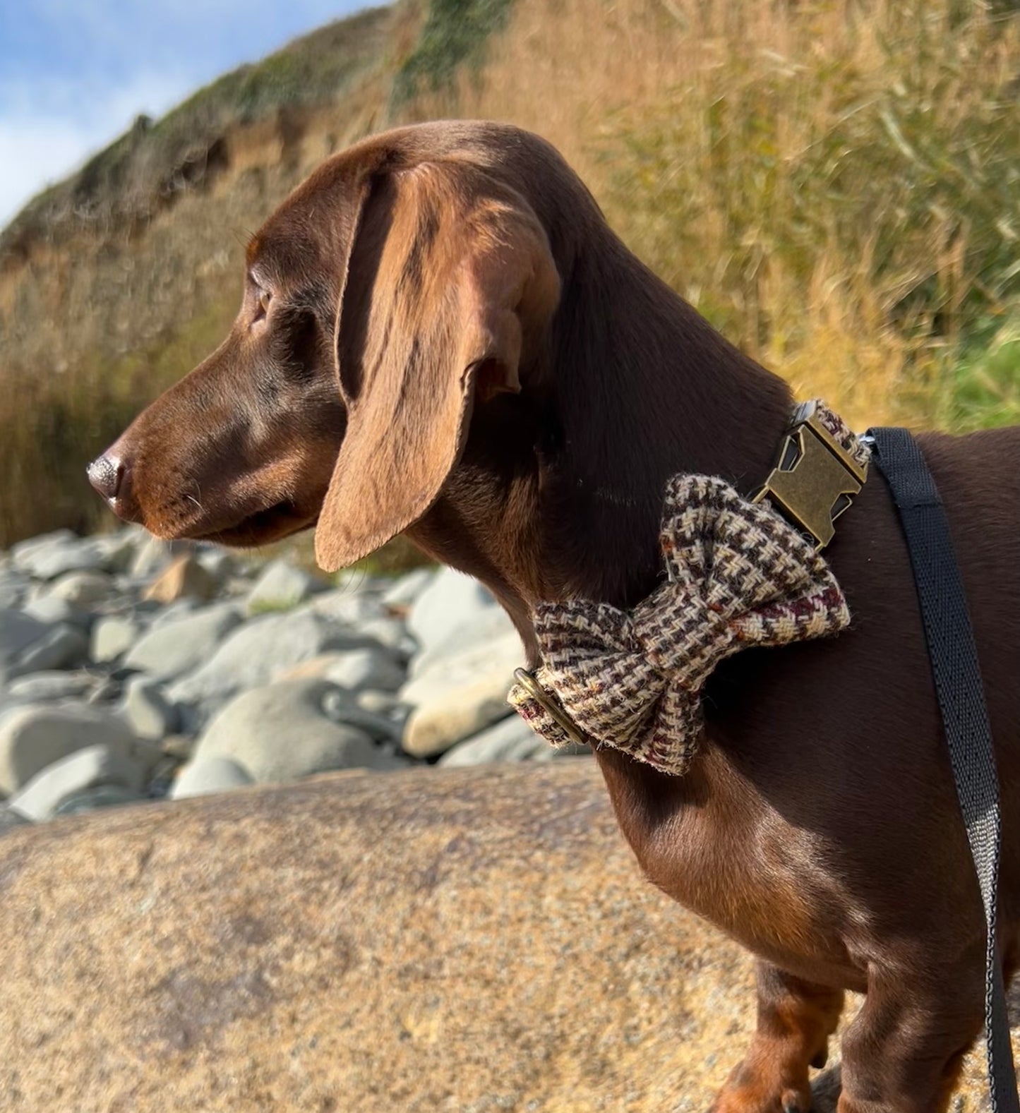 Harris Tweed® Khaki Green Dogtooth Dog Collar Bow & Lead Set Hunter & Co.