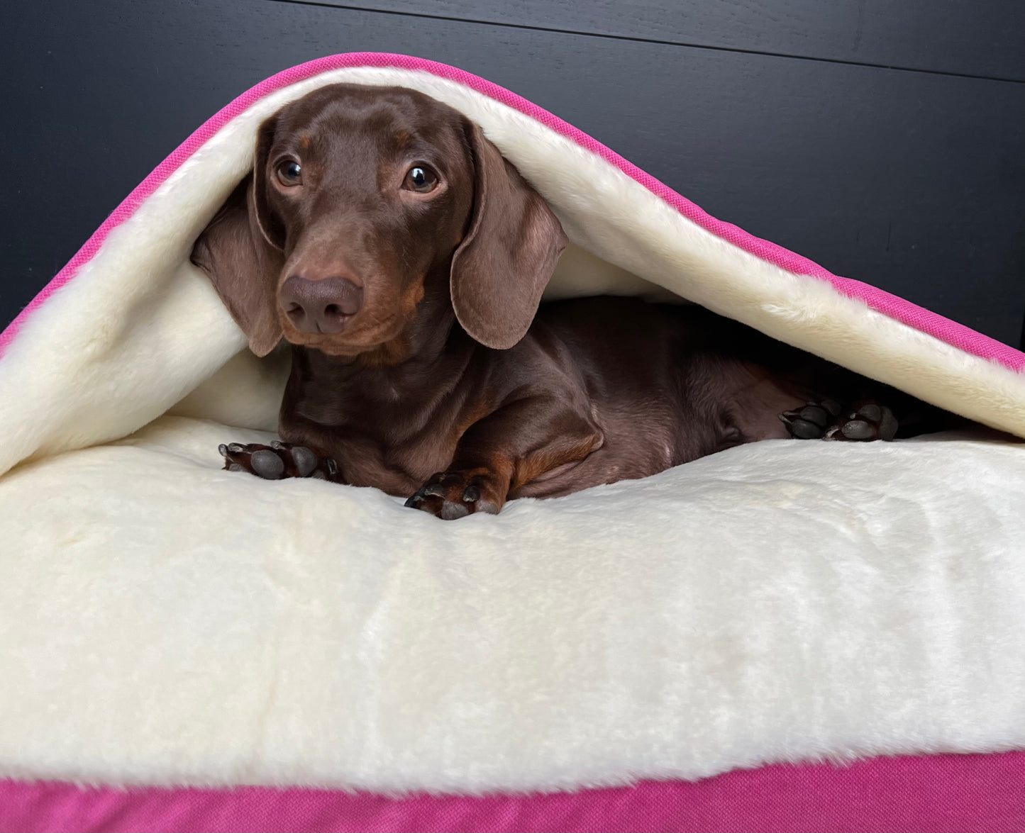Pink Velvet Snuggle Cave Dog Bed Hunter & Co.