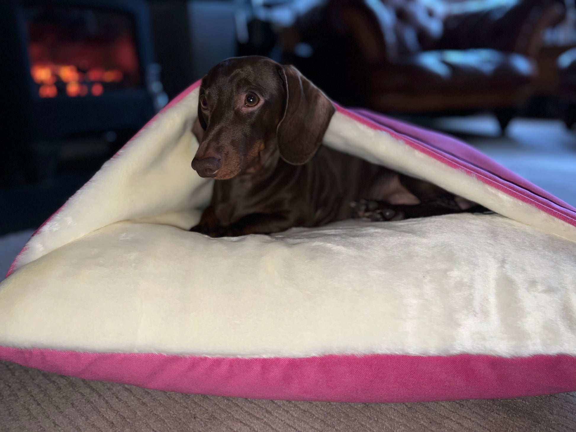 Pink Velvet Snuggle Cave Dog Bed Hunter & Co.