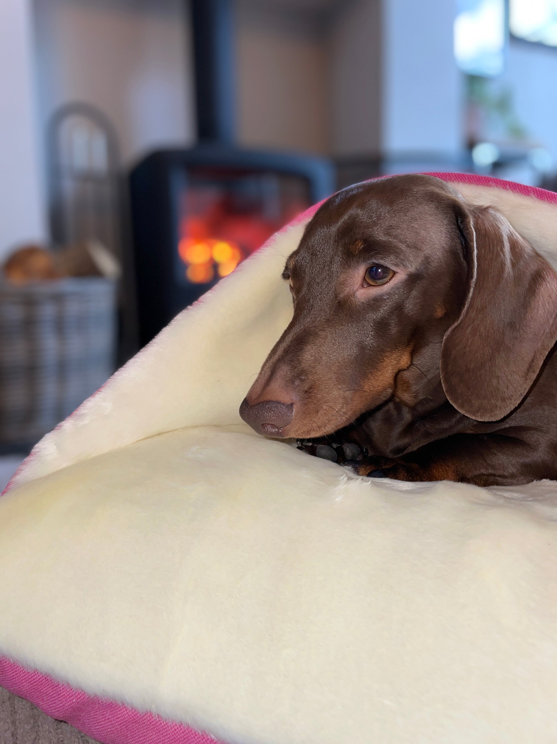 Pink Velvet Snuggle Cave Dog Bed Hunter & Co.