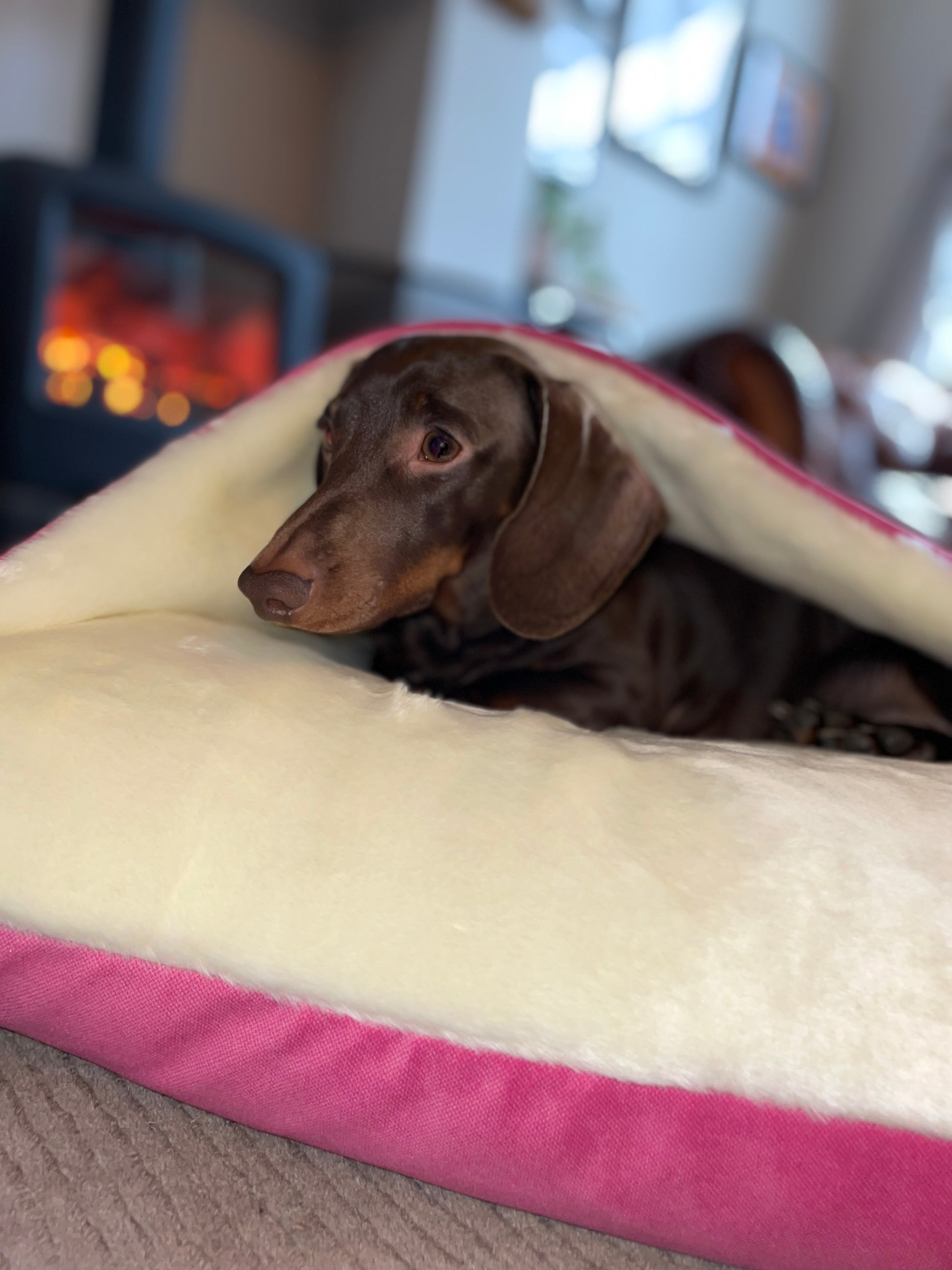 Pink Velvet Snuggle Cave Dog Bed Hunter & Co.